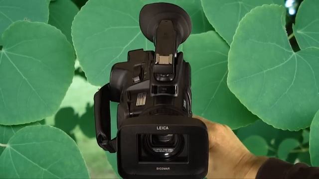 Panasonic AG-HMC40 Review смотреть онлайн