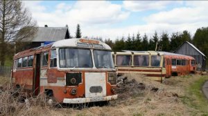 ЗАБРОШЕННЫЕ АВТОБУСЫ «ПАЗ» | ЧАСТЬ 1