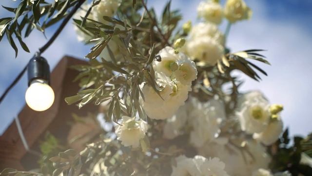 Свадьба в скандинавском стиле. Крым. Организация мероприятий смотреть онлайн