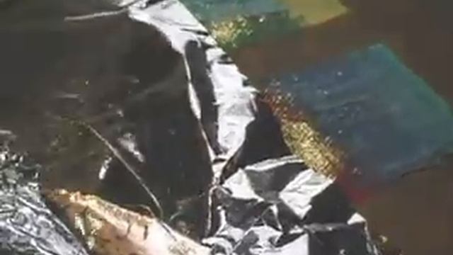 Fabric Surface Design - Using Metallic Foil and Fusible Web смотреть онлайн