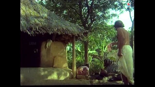 KADAMBA | Malayalam Classic movie | Balan K Nair | Sathar | Jayanthi | Achan kunju Others смотреть онлайн