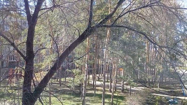 Самвел Адамян / Самвел заметает следы в Европу !!! смотреть онлайн