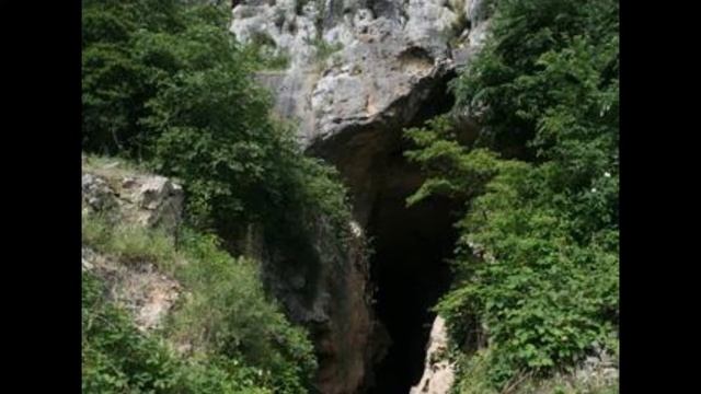 История Азербайджана.6 класс. Параграф 2.Период нижнего палеолита на территории Азербайджана. смотреть онлайн