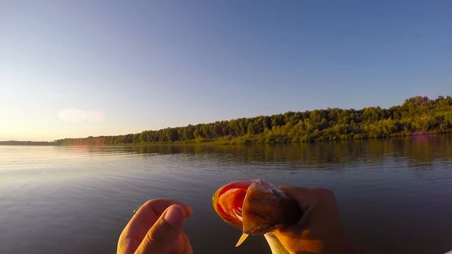 ДА ЕЕ ЗДЕСЬ НЕМЕРЕНО!! Щука на каждом забросе! Рыбалка с Ночевкой смотреть онлайн