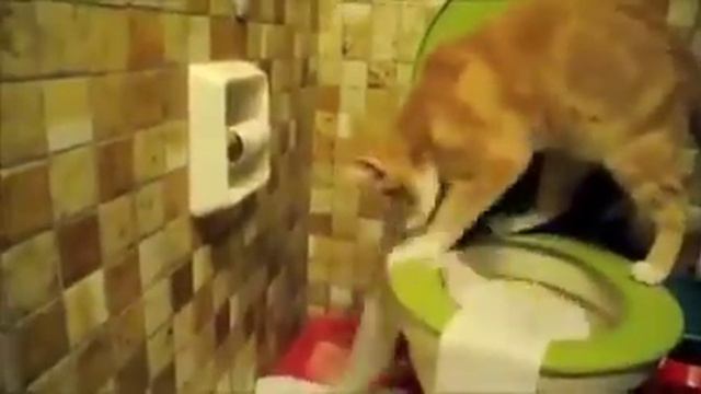 Туалет самое главное смотреть онлайн