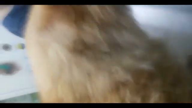 поездочка... Царь в клинике