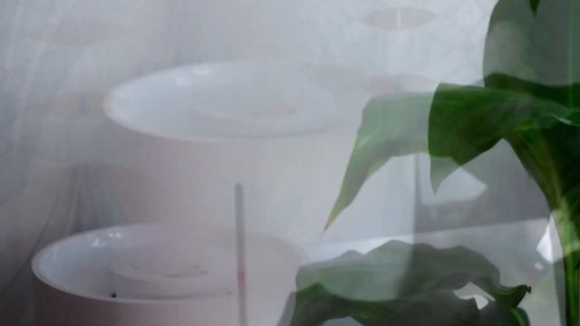 Отзыв на Увлажнитель воздуха Xiaomi Mijia Humidifier 2 Lite спустя 1 год. Плюсы и минусы смотреть онлайн