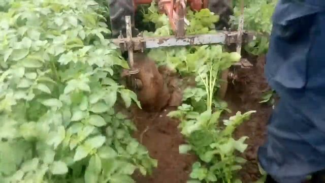 Дисковый окучник мотоблока смотреть онлайн