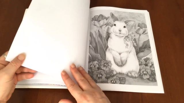 Adorable Animals - Grayscale Coloring Book Review - Jane Maday смотреть онлайн