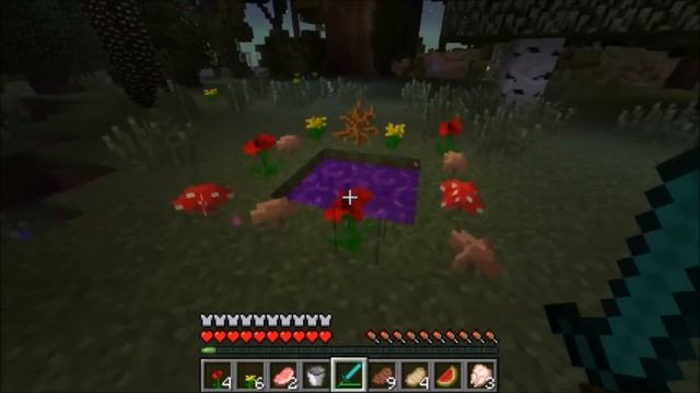Minecraft How To Make A Portal To The Twilight Forest - Portal To The Twilight Forest!!!