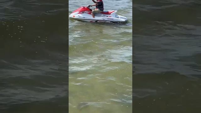 Man saves kids shoe ￼after 30 mins of trying to get it???(make him go viral) смотреть онлайн