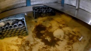 УЗВ 6 месяцев для австралийских раков. Приобретенный опыт, ошибки, кормление, разведение и нюансы.