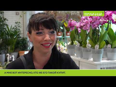 "Тепличный TV". Выпуск 7 смотреть онлайн