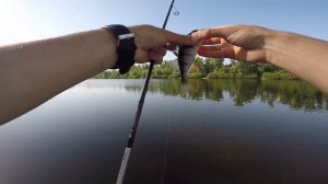 МИКРОДЖИГ С БЕРЕГА. Как найти КРУПНОГО окуня летом на РЕКЕ.  Ловля ОКУНЯ и СУДАКА НА СИЛИКОН.