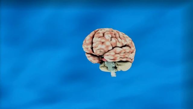 Café, caféine: leur impact sur la santé (28-20) смотреть онлайн
