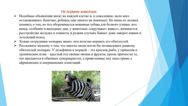 Идем в ЗООПАРК смотреть онлайн