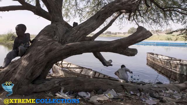 Lake Chad in Baga Sola, Chad смотреть онлайн