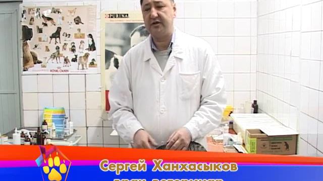 Домашний Зоопарк: "Доберман" 09.12 смотреть онлайн