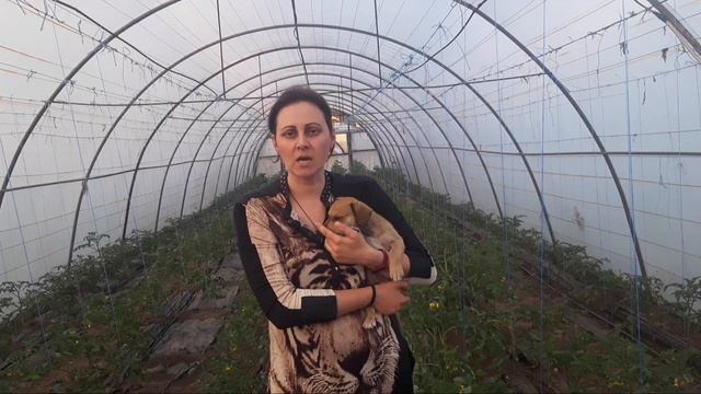 ситуация в Украине. Запорожская область. Каменка-Днепровская. 01.05.2022 смотреть онлайн