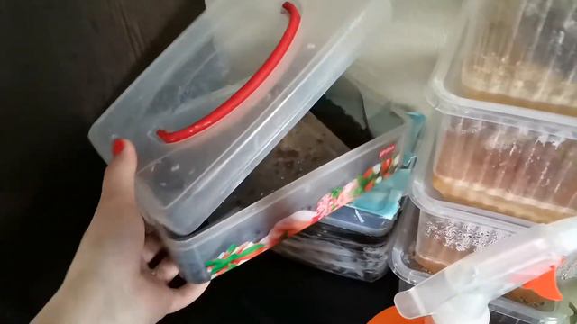 третий аквариум(живородка) и живые корма смотреть онлайн