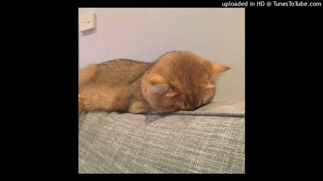 адлин - а что, если уйду (slowed & reverb) смотреть онлайн