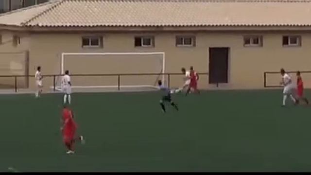 Reginaldo Delgado - Lateral Direiro 28/12/1995 смотреть онлайн