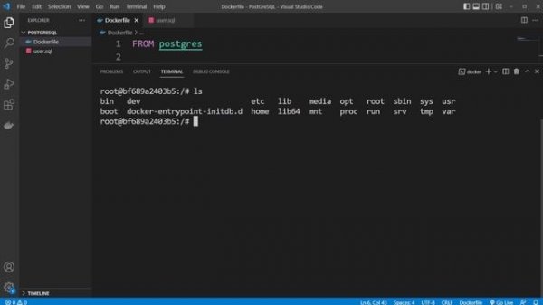 How to run PostgreSQL inside a Docker container