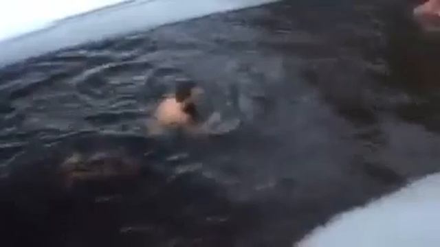 Ice Swimming -22° Hollola Finland смотреть онлайн