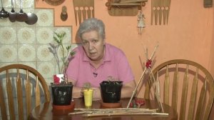 Голова садовая - Томаты по два корня в лунку