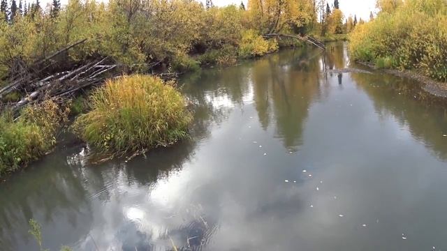 Осенняя рыбалка. Ловля хариуса на спиннинг в глухой тайге. Часть 1. Лесная изба. Таёжный быт смотреть онлайн