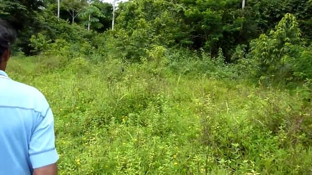 Tour Of Jonestown, Guyana (part 5 Of 7)