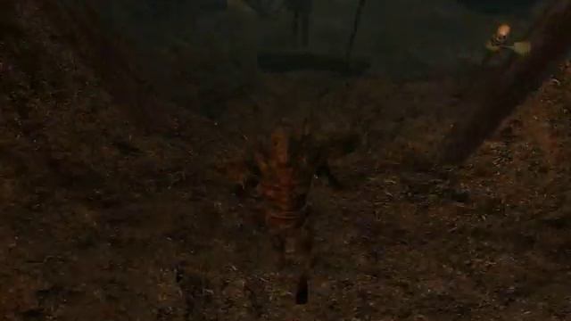 morrowind online test смотреть онлайн