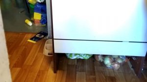 Посудомоечная машина Candy CDCP 8. Ошибка Е4/ Candy CDCP 8. error Е4