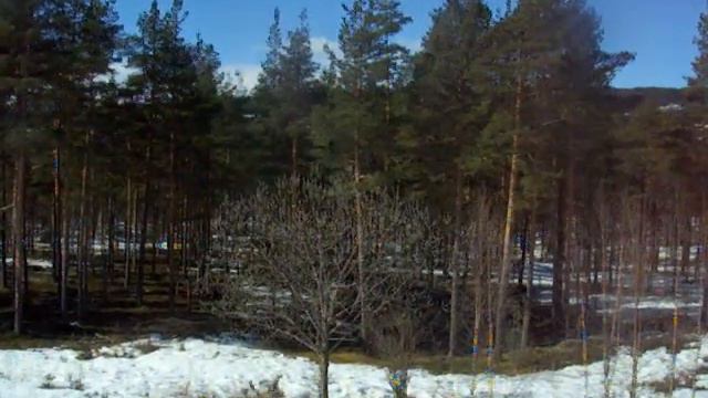 Funny смотреть онлайн