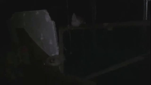 цыплята домой!///10 градусов это холодно? смотреть онлайн