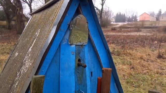 Осень в деревне. Сытая Карамелька. смотреть онлайн