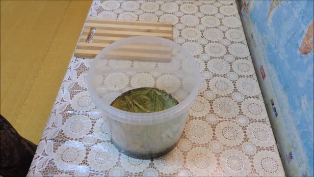 Как сделать плитку ?? Иван-чая без специального оборудования. Russian tea. смотреть онлайн