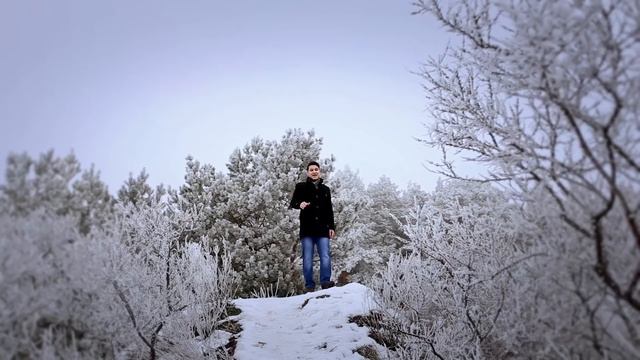 Ильяс Шәяхмәтов - Җаныем бәгърем смотреть онлайн