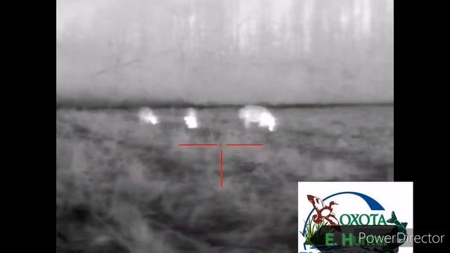 Охота на кабана #охота #охотавроссии #охотамоёхобби #ночнаяохота #тепловизор смотреть онлайн