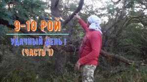 9-10 рой пчел 2024 года