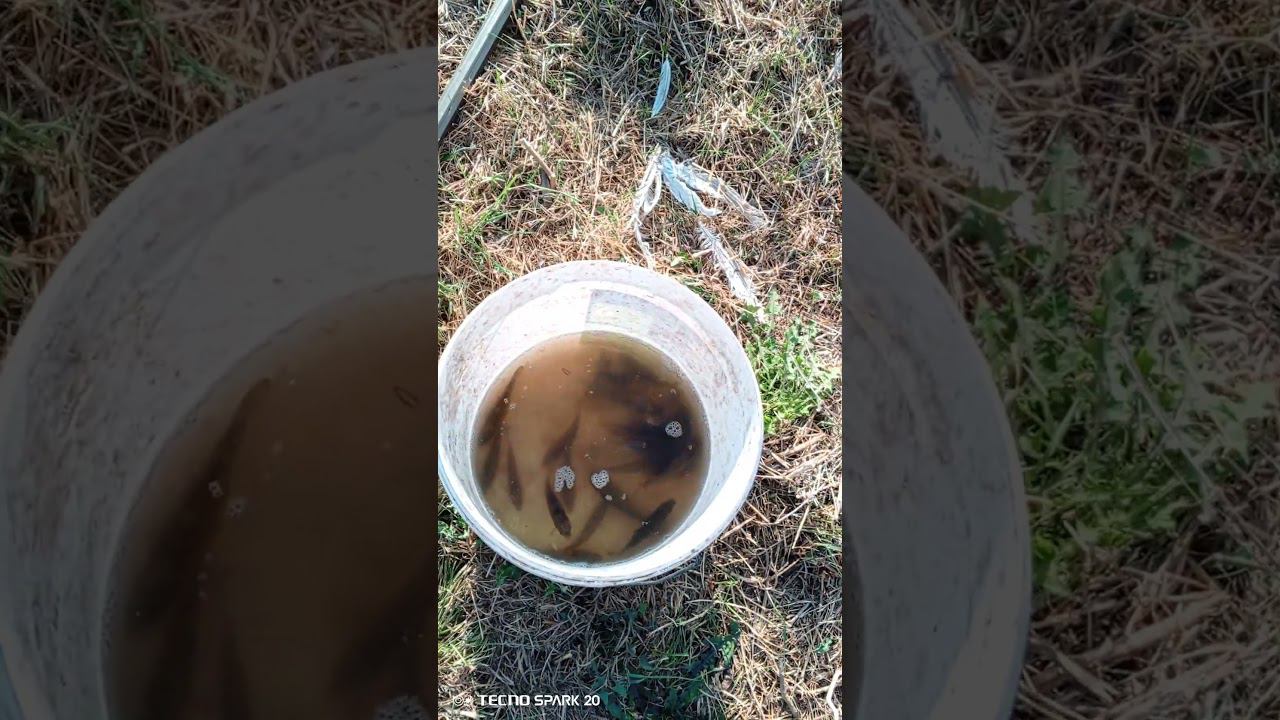 Улов смотреть онлайн