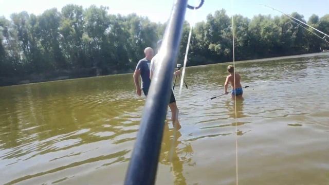 Сазан ,Белый Амур , На Ахтубе ....Супер рыбалка на новом месте!!! смотреть онлайн