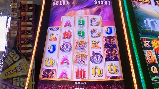 U.S. Soldier Risks Corona Virus to Play Buffalo Grand and New Money Ball Inferno Slot Machines! смотреть онлайн