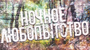 Страшные истории на ночь-Ночное любопытство