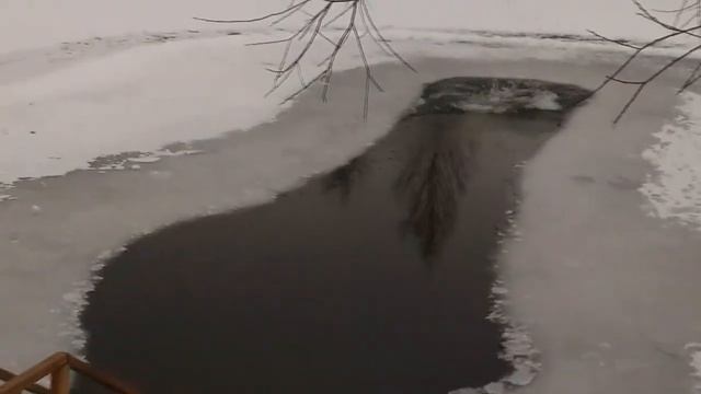 8 feb 2020 ❄ День зимних видов спорта ❄ Моржи Купчино ❄ Парк Героев-пожарных смотреть онлайн