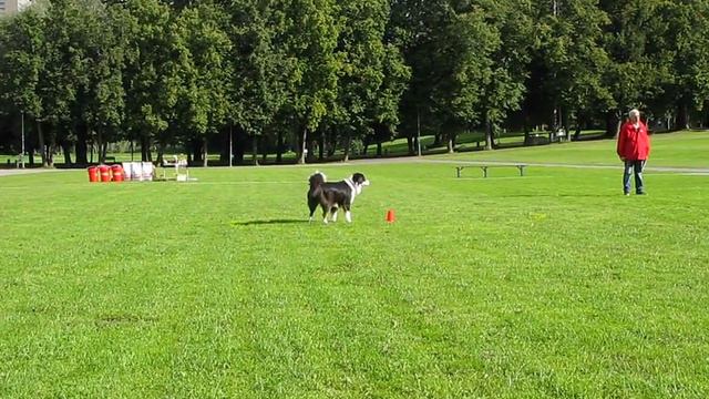 Winnie gantel смотреть онлайн