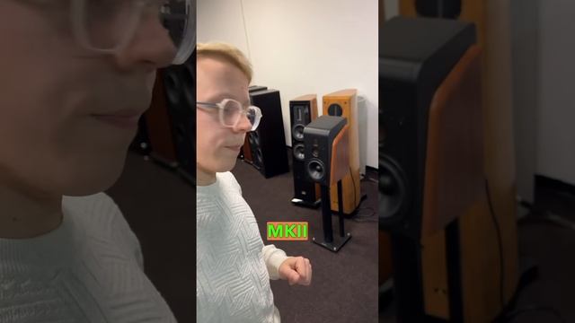 Отзыв клиента про активную акустику Swan M300mkII ?? смотреть онлайн