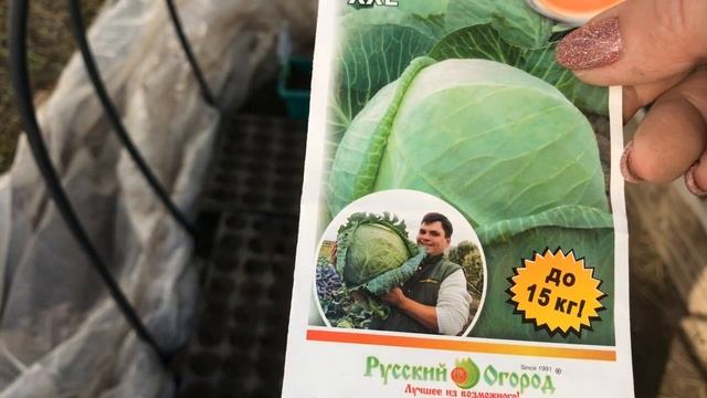 Посадка капусты из семян на рассаду в 2023 году Мои любимые УРОЖАЙНЫЕ сорта смотреть онлайн