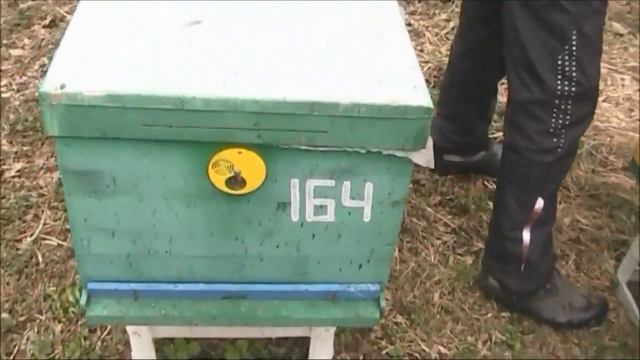 ставим пластины от клеща смотреть онлайн