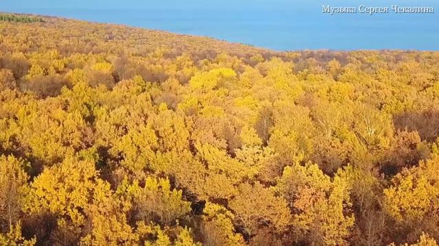 Музыка Природы! Музыка Сергея Чекалина! Божественная музыка, способная тронуть Сердце! смотреть онлайн